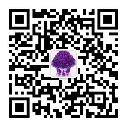 二维码图,七彩阳光 - 小猪导航 - 社交电商行业全国微信群二维码导航平台大全