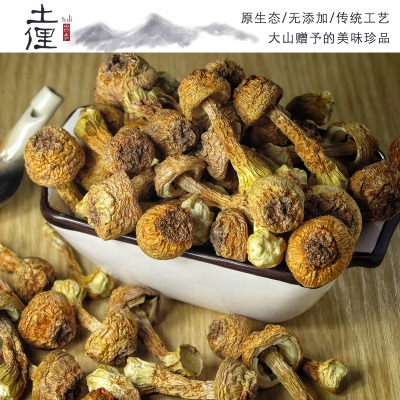土俚-山珍土产,姬松茸纯天然原生态 - 小猪导航 - 社交电商行业全国微信群二维码导航平台大全