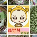 个人中心|话题 - 小猪导航 - 社交电商行业全国微信群二维码导航平台大全