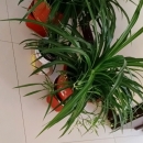 品*折扣店 — Heilongjiang-Suihua - 小猪导航 - 社交电商行业全国微信群二维码导航平台大全