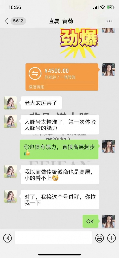 小猪导航