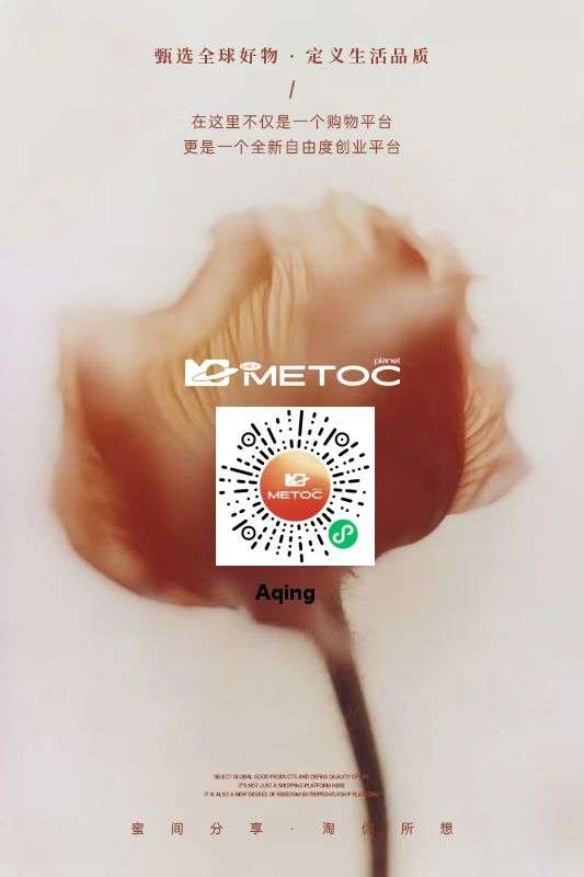 小猪导航