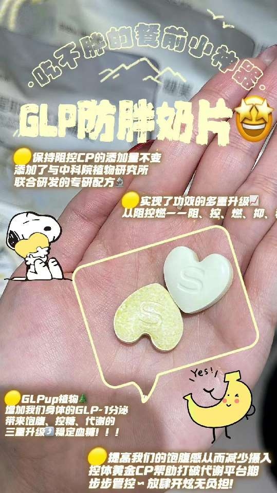 小猪导航