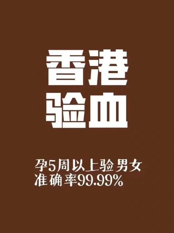 小猪导航