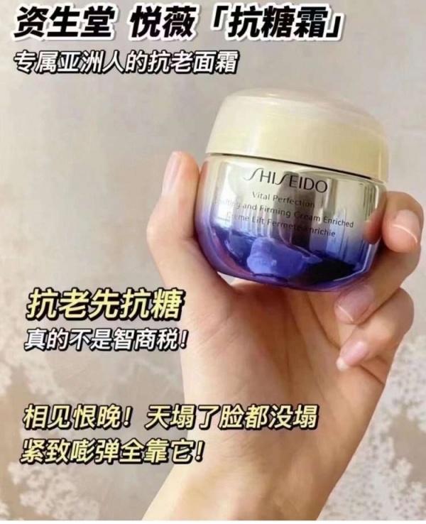 小猪导航