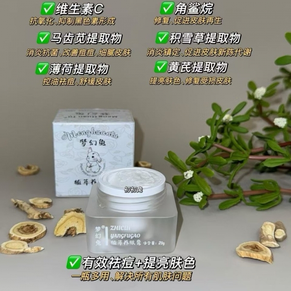 小猪导航