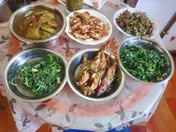 小猪导航