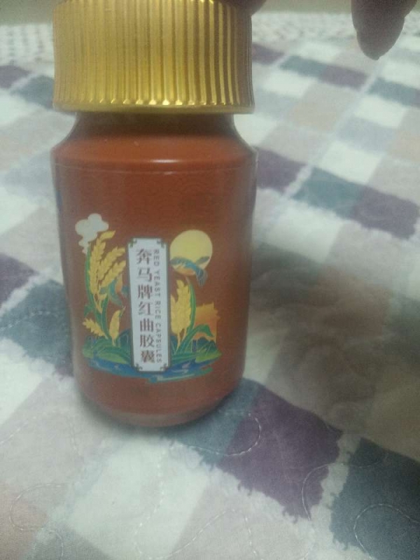 小猪导航