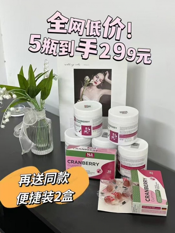 小猪导航