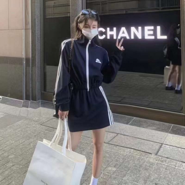 小猪导航
