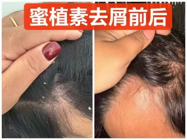 小猪导航