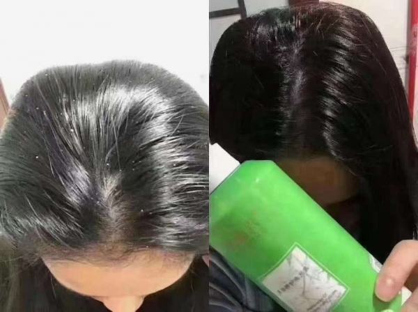 小猪导航