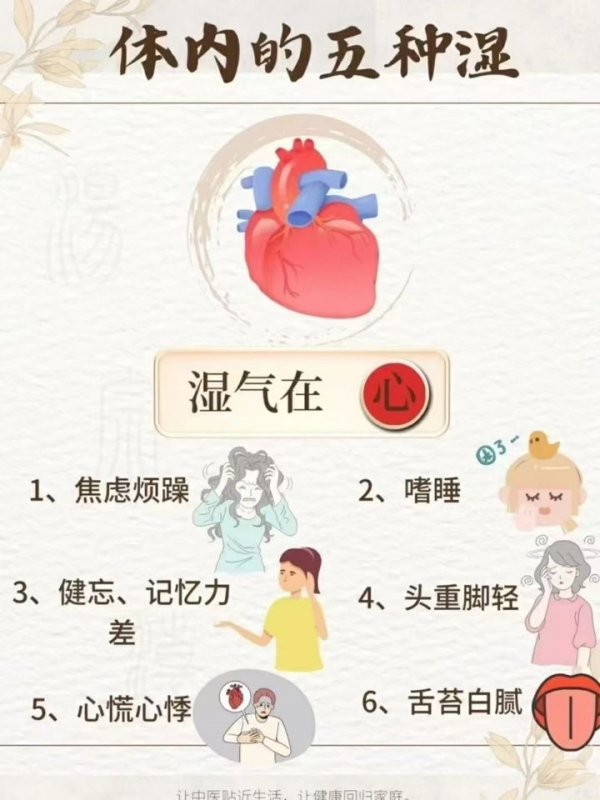 小猪导航