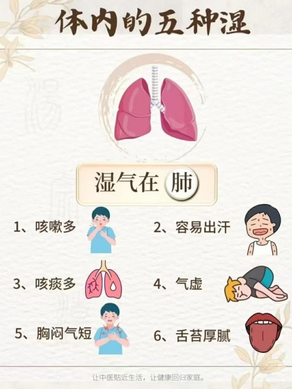 小猪导航