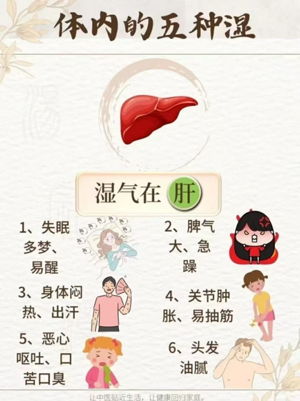 小猪导航