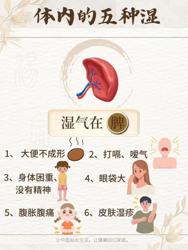 小猪导航