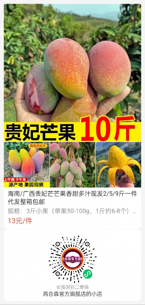 小猪导航