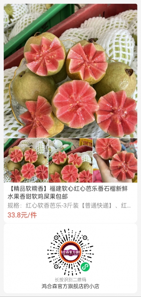 小猪导航