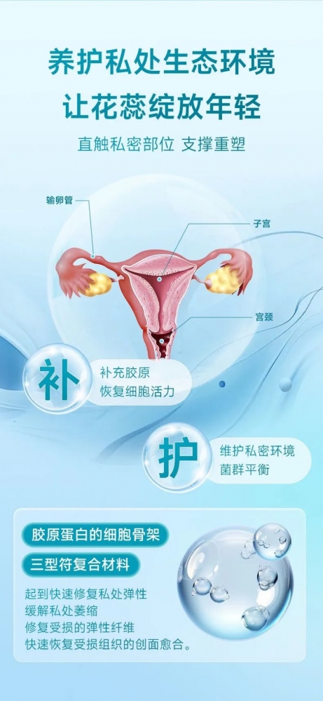 小猪导航