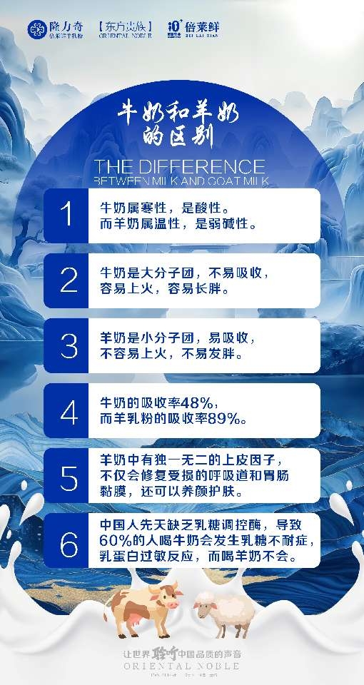 小猪导航