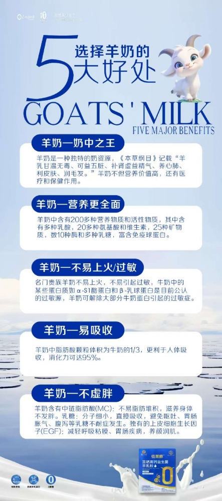 小猪导航