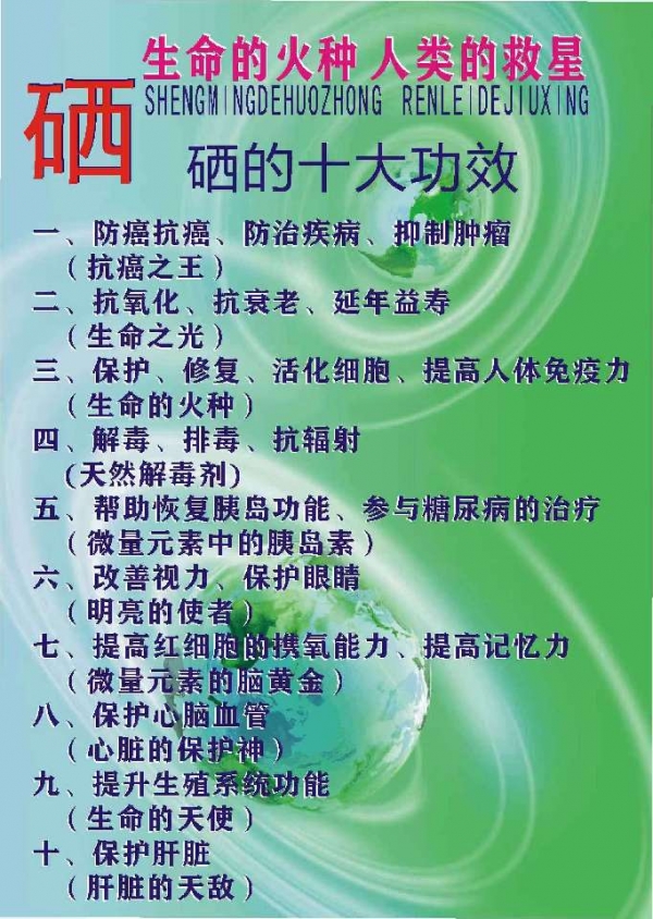 小猪导航