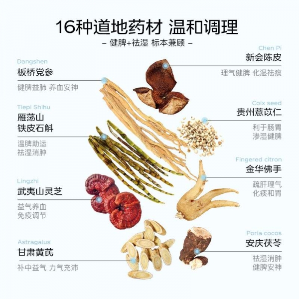 小猪导航