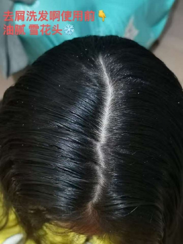 小猪导航