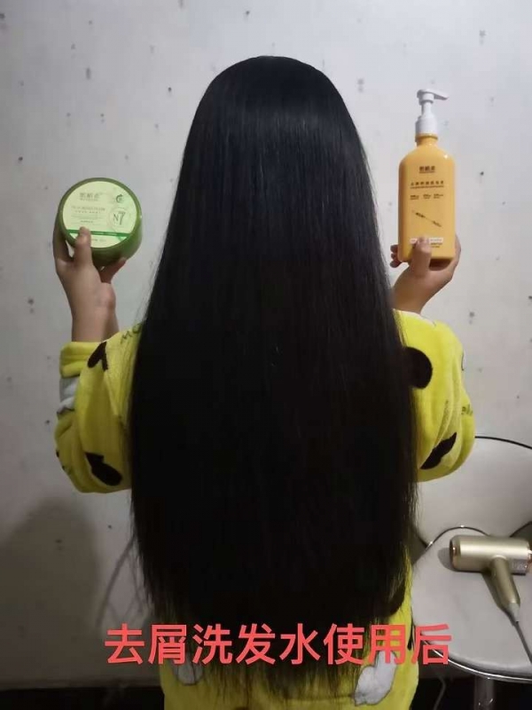 小猪导航