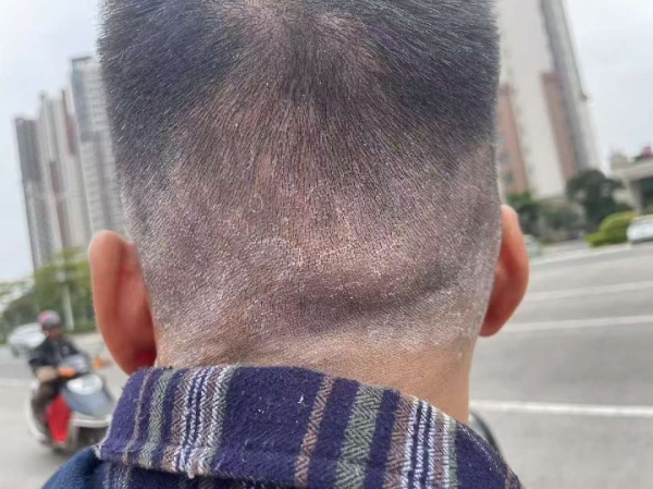 小猪导航