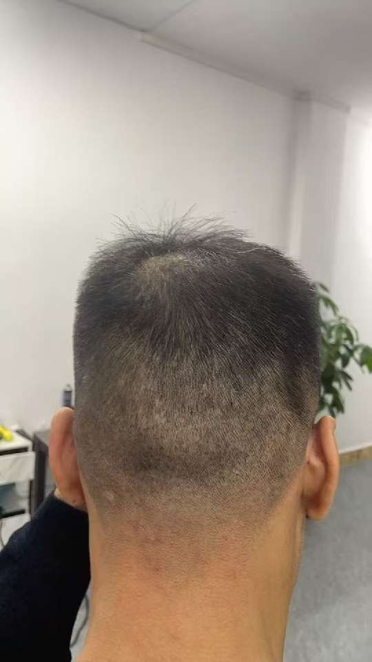 小猪导航