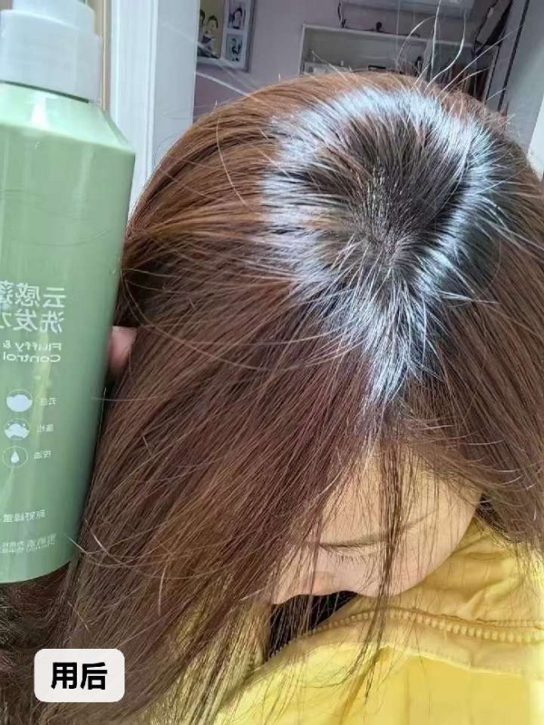 小猪导航