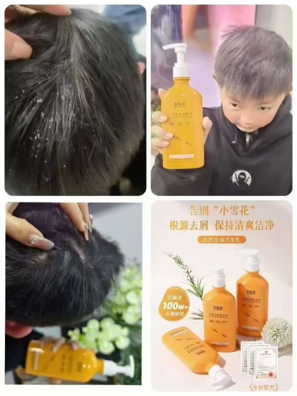 小猪导航