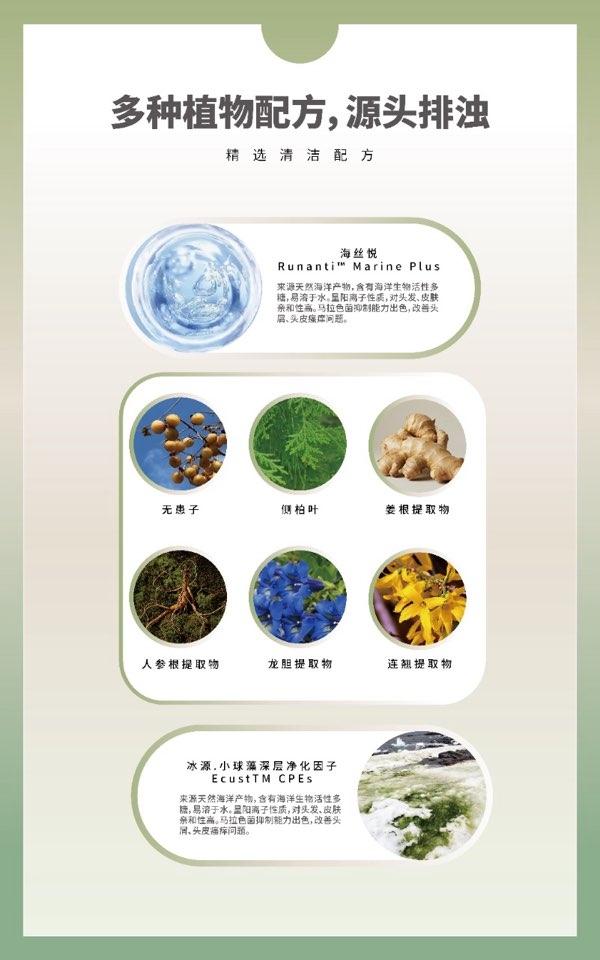 小猪导航