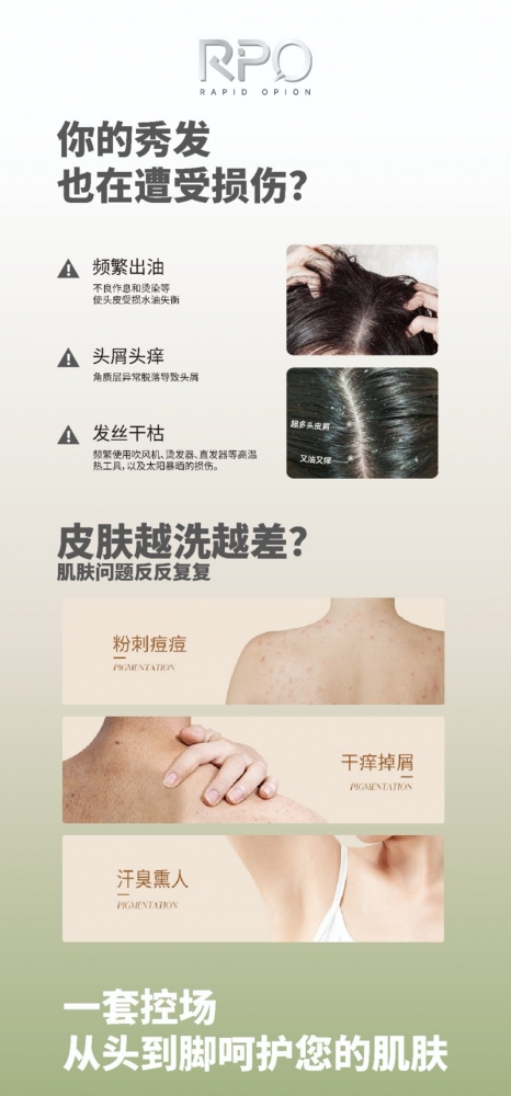 小猪导航