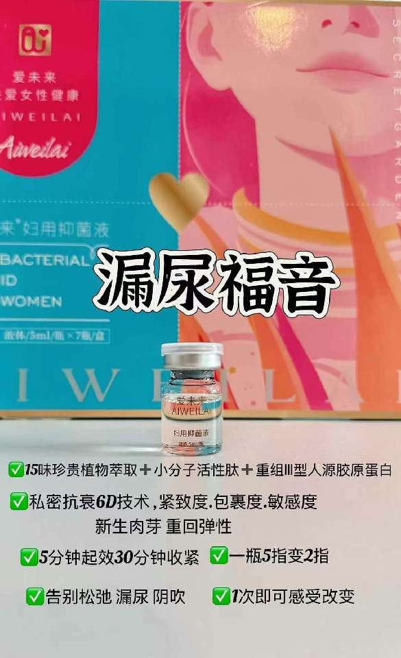 小猪导航