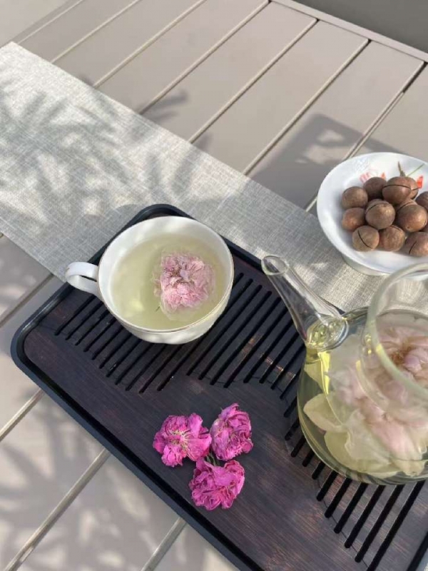 小猪导航