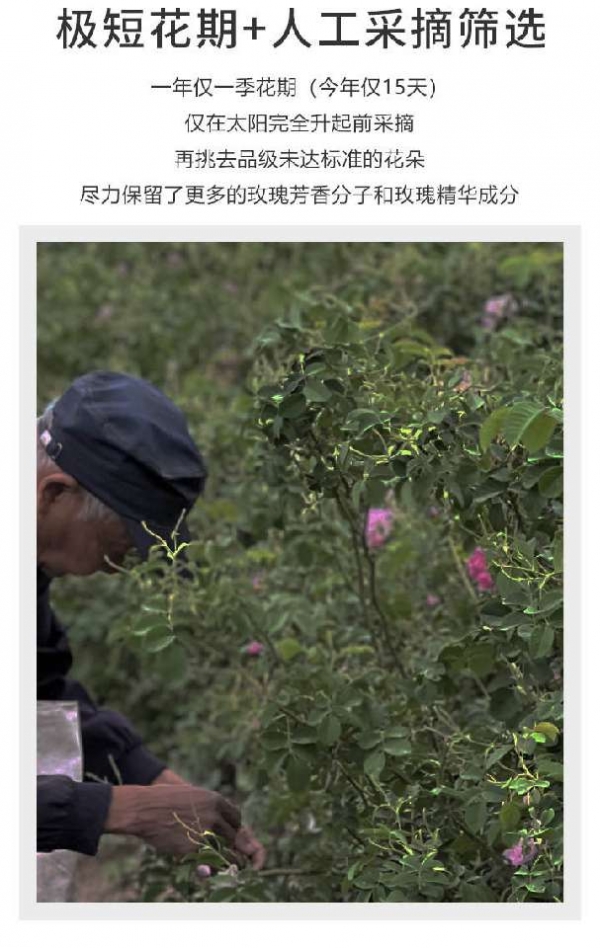 小猪导航
