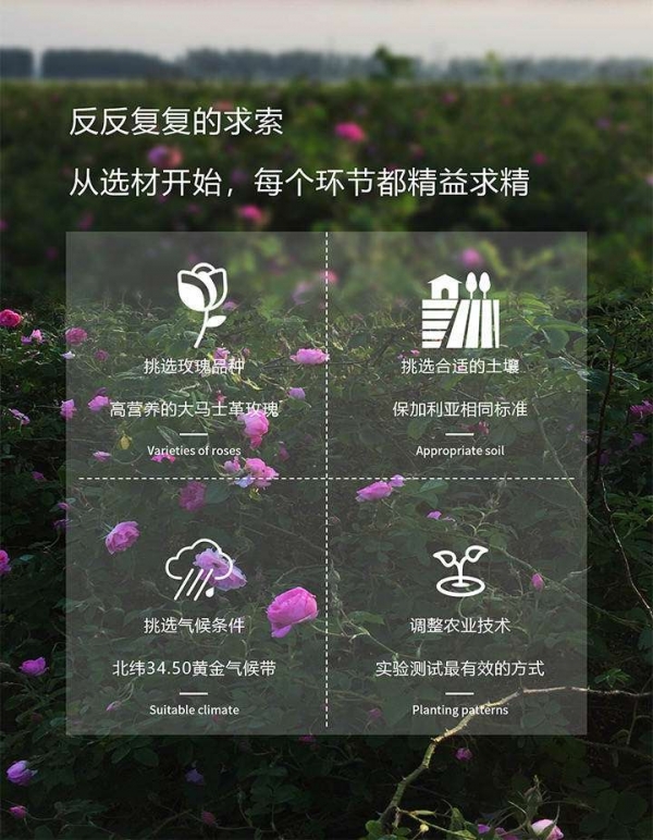 小猪导航