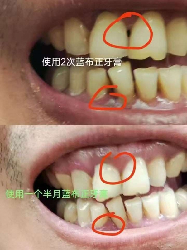 小猪导航