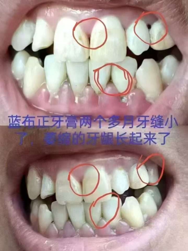 小猪导航