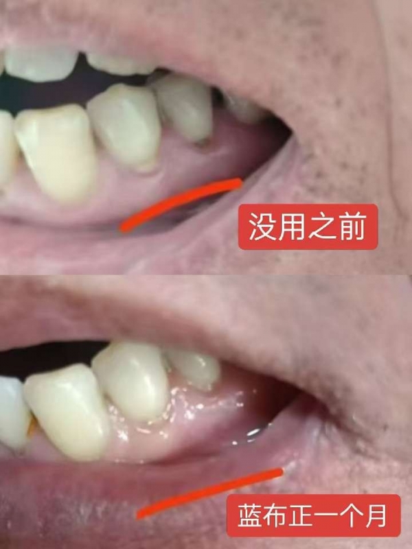 小猪导航