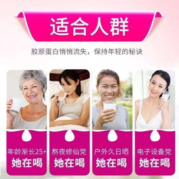 小猪导航