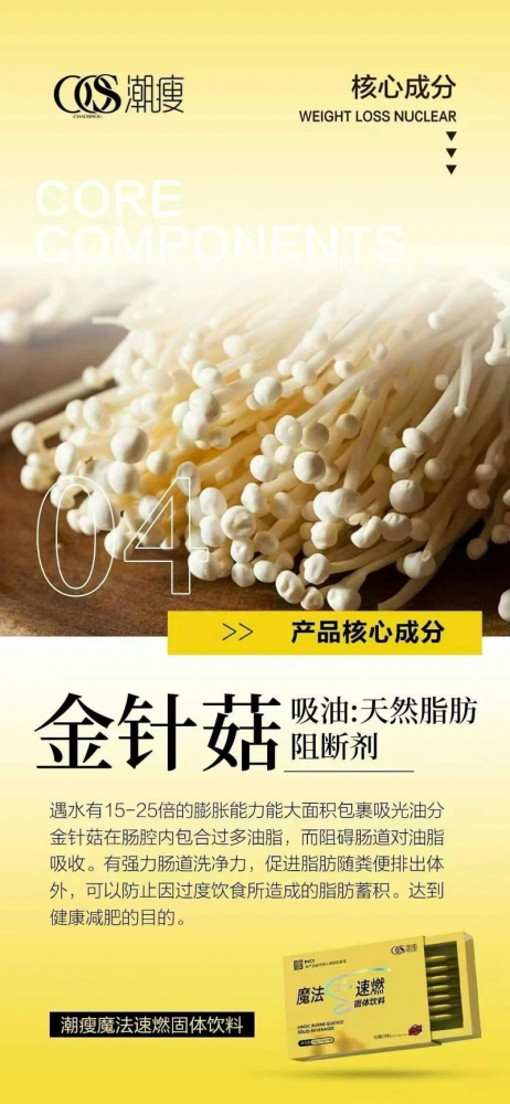 小猪导航