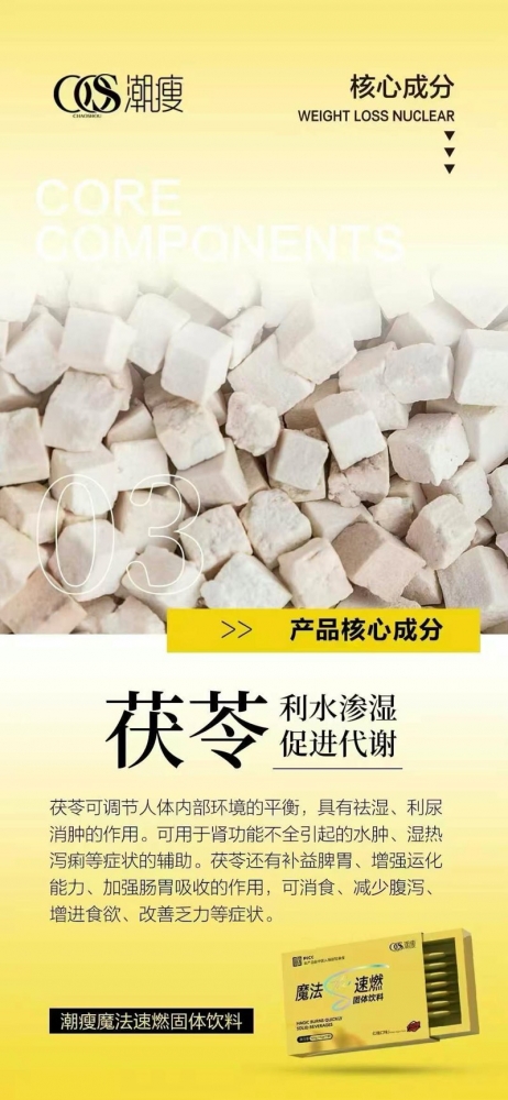 小猪导航