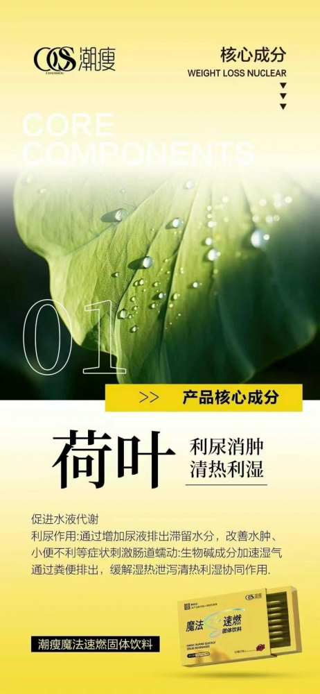小猪导航