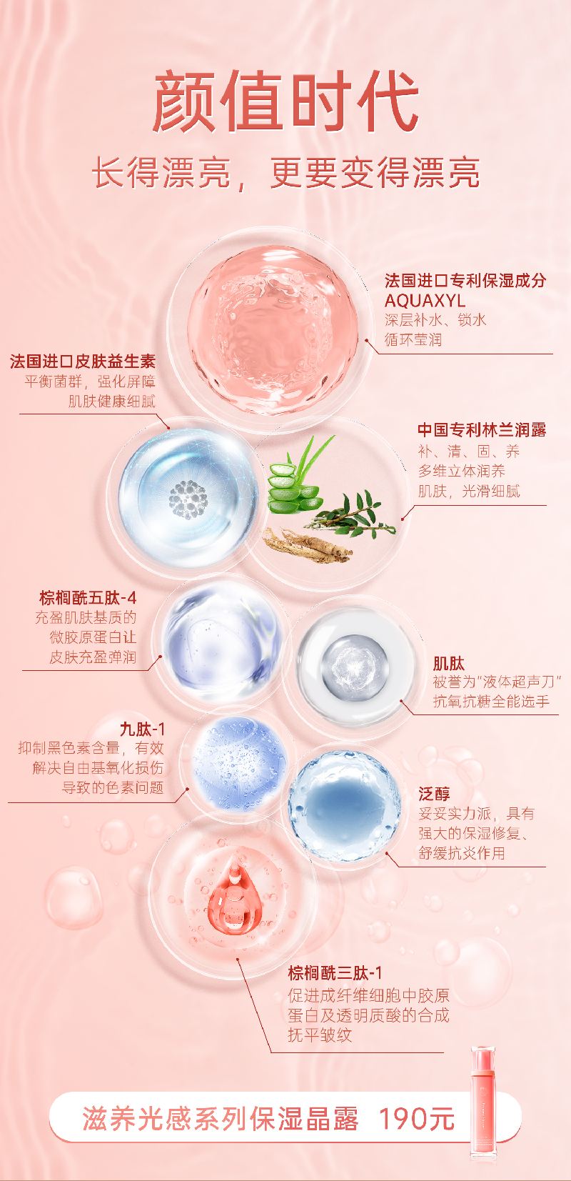 小猪导航