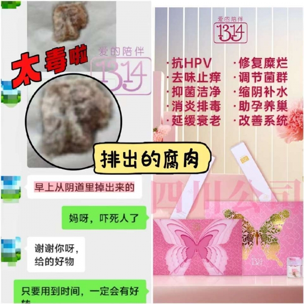 小猪导航