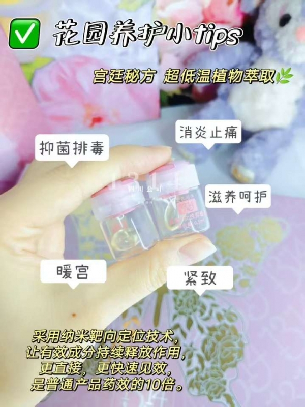 小猪导航