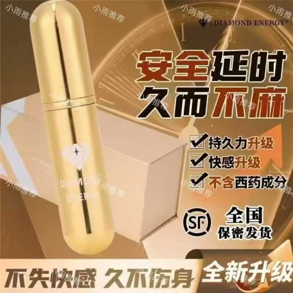 小猪导航